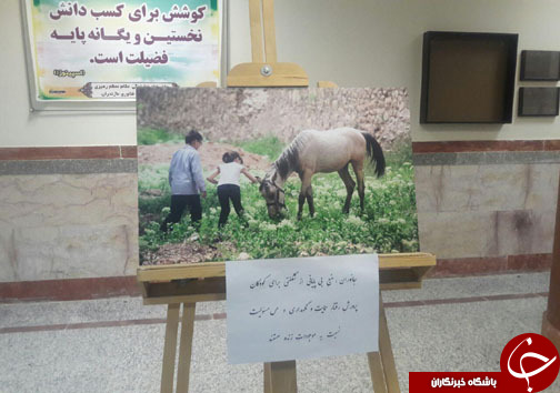 نمایشگاه ملی عکس مدرسه طبیعت در بهشهر +تصاویر