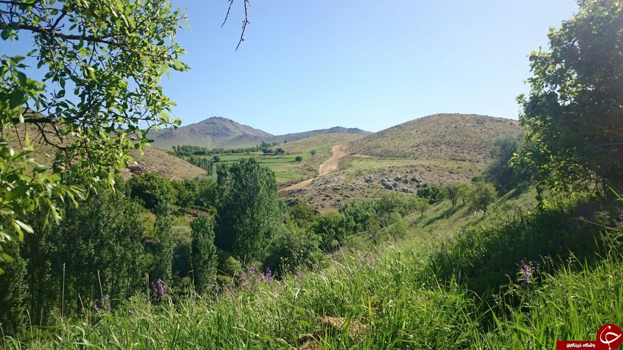 تصاویری از طبیعت زیبا و دل&zwnj;انگیز چنارستان