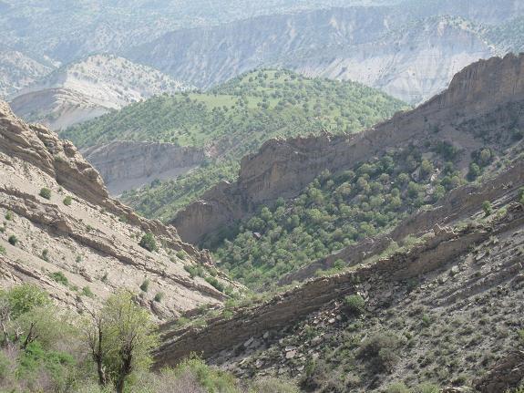 زیستگاه های حیات وحش ملکشاهی، نیازمند ایجاد پاسگاه های حفاظتی