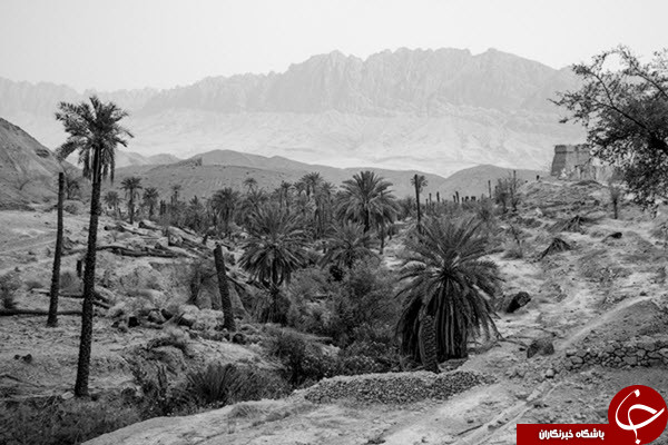 تصاویری از متروکه ها پس از خشکسالی