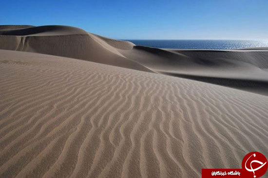 مرز تماشایی اقیانوس با کویر در صحرای نامیب+عکس