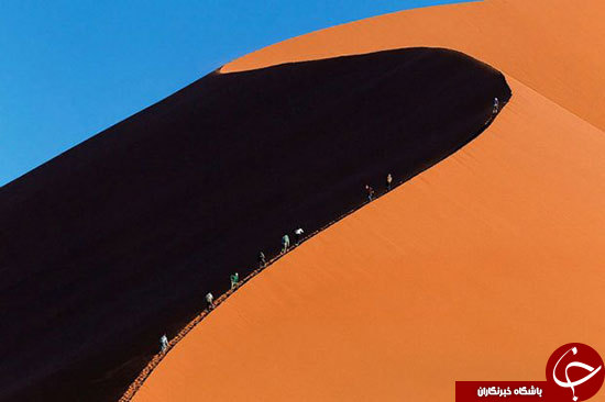 مرز تماشایی اقیانوس با کویر در صحرای نامیب+عکس