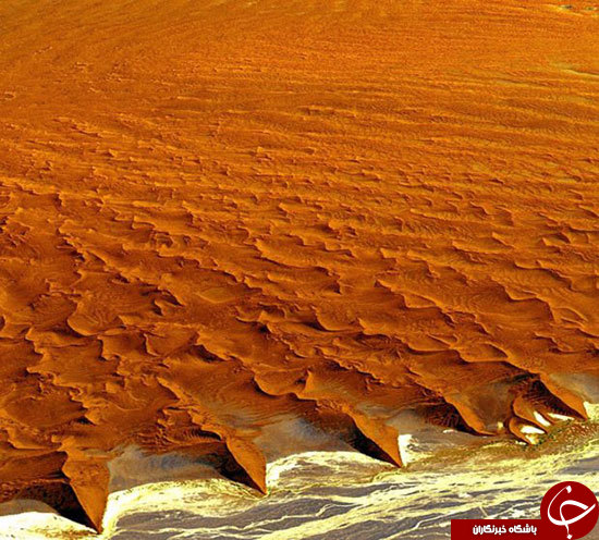 مرز تماشایی اقیانوس با کویر در صحرای نامیب+عکس