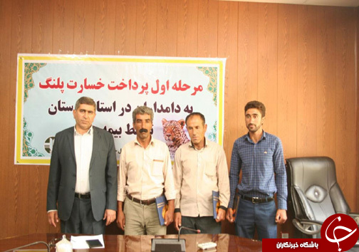 پرداخت خسارت پلنگ به دامداران در لرستان