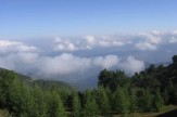 باشگاه خبرنگاران -اینجا ایران است / چرای اسب‌های وحشی در گیلان +فیلم
