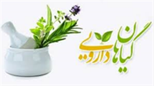 کشف محموله 160میلیون ریالی گیاهان دارویی قاچاق در خاش