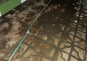 شستشو زمین با مایه حیات در بحران کم آبی + فیلم
