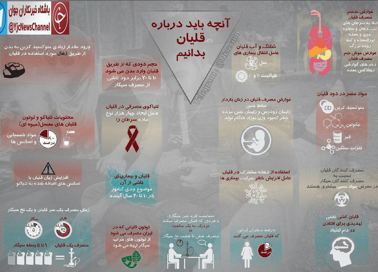 رازهایی که با دانستن آنها لب به قلیان نخواهید زد/ اینفوگرافیک