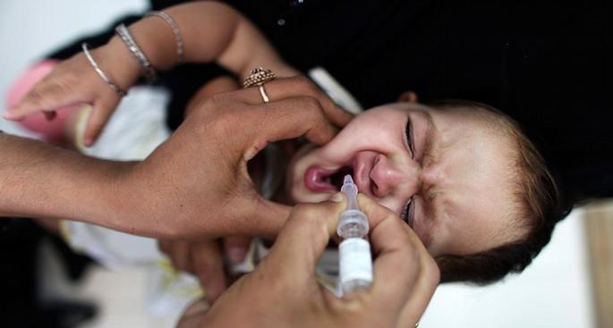 استفاده مفید از گیاه تنباکو برای مقابله با فلج اطفال و زیکا