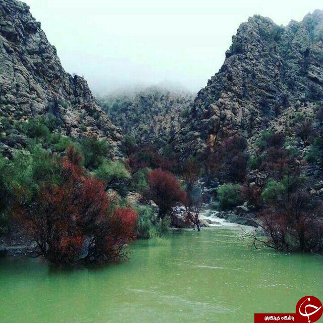 منطقه چشم نواز طرنگ در قاب تصویر