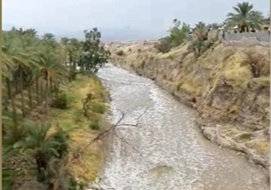 فیلمی جالب از جاری شدن آب در رودخانه «جره»