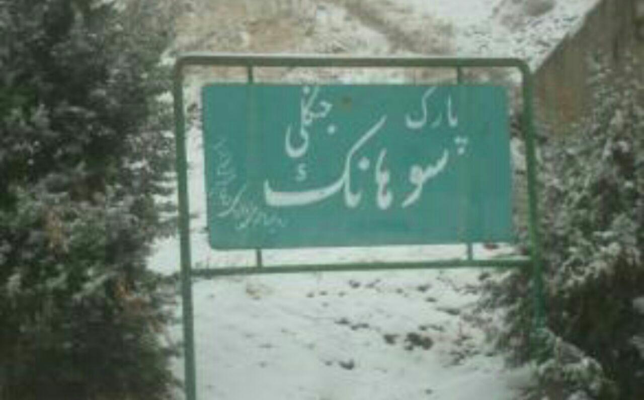 طبیعت بکر بوستان سوهانک در انتظار شماست