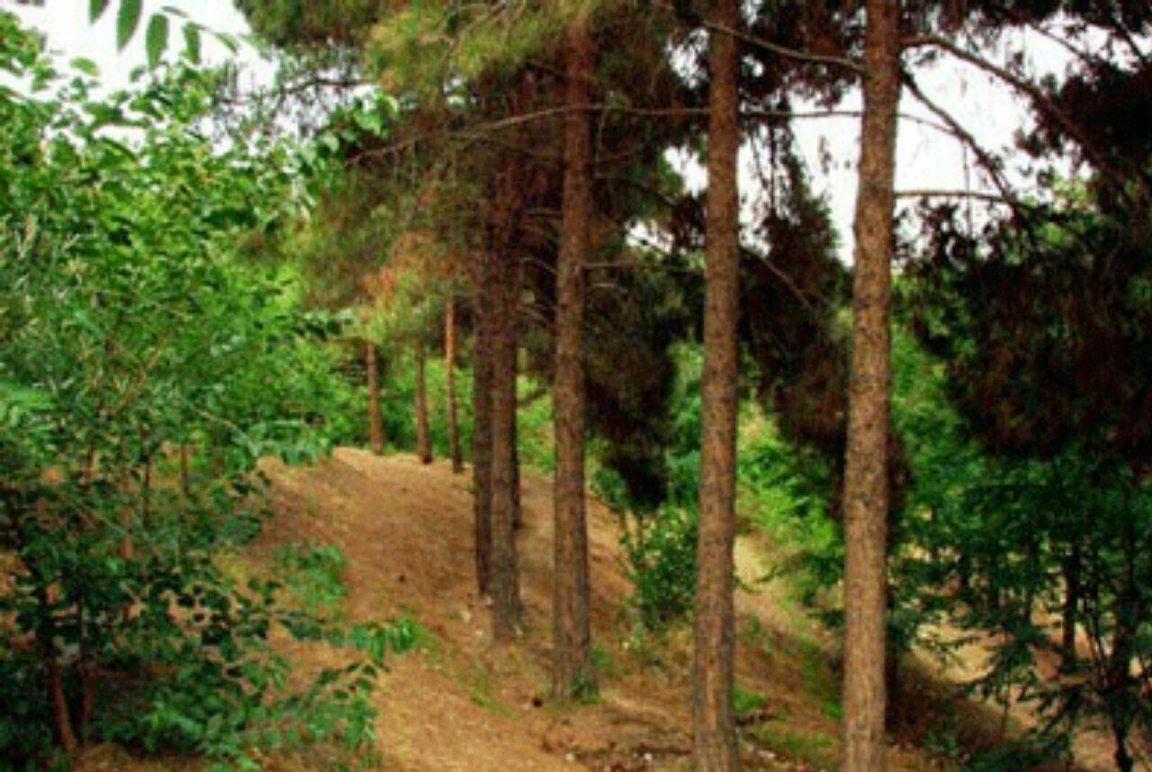 طبیعت بکر بوستان سوهانک در انتظار شماست