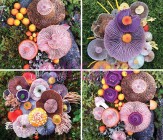 باشگاه خبرنگاران -هنرنمایی با استفاده از قارچ +تصاویر