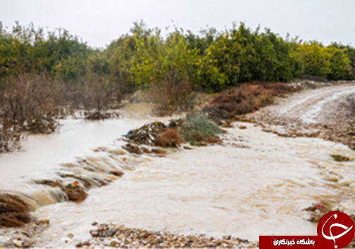 بارش شدید باران در شیراز/ماجرای آتش زدن خانه و کشته شدن وکیل زن/آخرین مهلت ثبت نام متقاضیان دفاتر خدمات قضایی