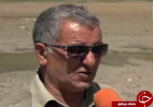 خشکسالی در کمین شالیزار&zwnj;های مازندران