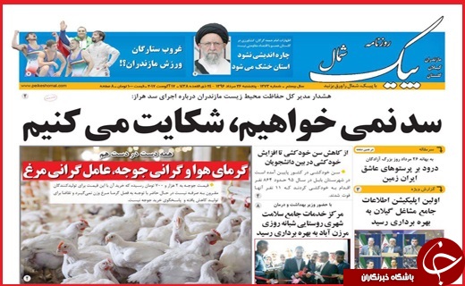 از پرواز مر&zwnj;غ در آسمان تا مرگ صنوبرها