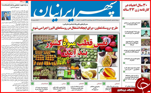 از پرواز مر&zwnj;غ در آسمان قیمت تا مرگ صنوبرها