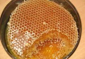 افزایش 10 درصدی تولید عسل در گیلان