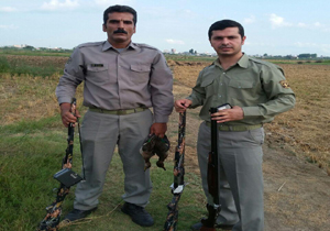 دستگیری چهار شکارچی متخلف در بابلسر