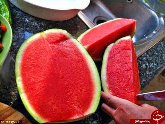 میوه&zwnj;های عجیب الخلقه در سراسر جهان+ تصاویر