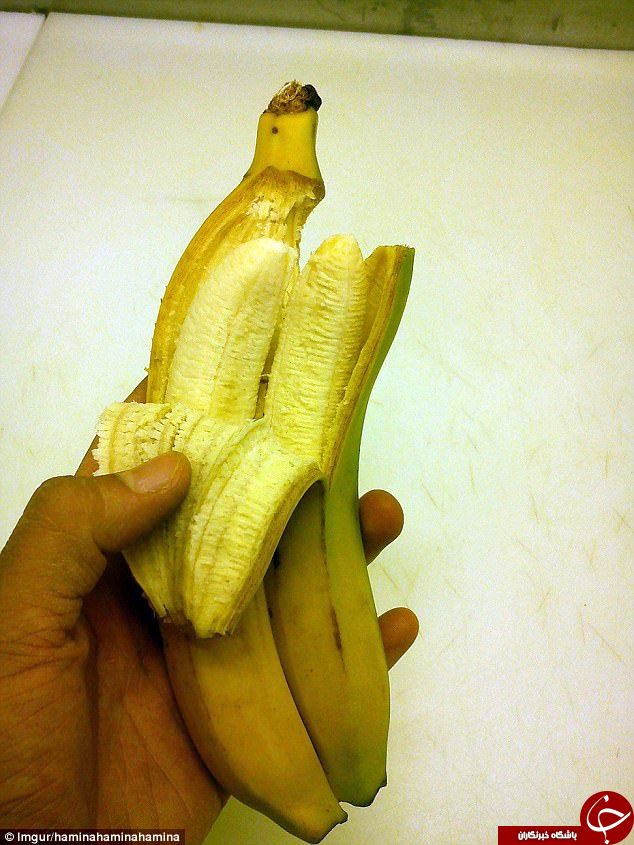 میوه&zwnj;های عجیب الخلقه در سراسر جهان+ تصاویر
