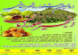 برگزاری اولین جشنواره شهرستانی انجیر هورامان در سروآباد