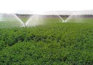 کمک بلاعوض دولت به کشاورزان‏ برای اجرای سیستم‌های نوین آبیاری