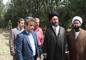 نهضت درختکاری در استان اردبیل در حال تحقق است