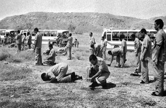 پرستوهای عاشق برای بازگشت به وطن بال گشودند