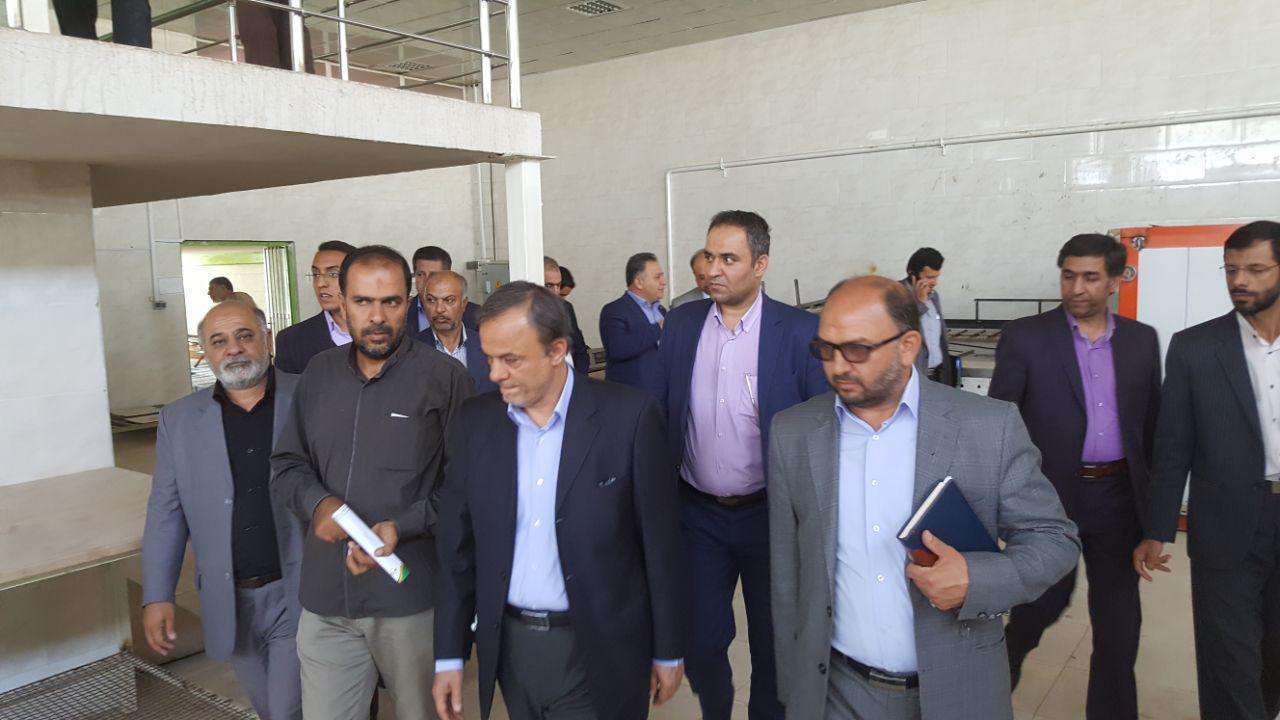بررسی مشکلات واحد تولیدی نان بی بی گندم