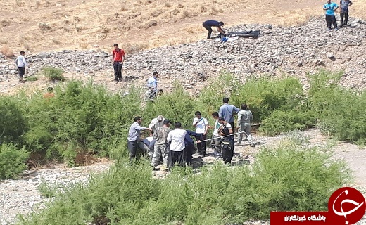 حمله خرس به دو مرد روستایی +تصاویر