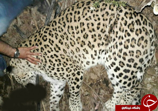 نگاهی گذرا به مهمترین رویداد&zwnj;های ۲۷ مرداد ماه در مازندران