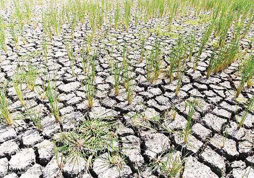 خشکسالی باعث بی رمق شدن روستاهای استان فارس خشکسالی باعث بی رمق شدن روستاهای استان فارس