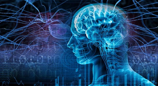 استفاده از سیگنال&zwnj;های مغزی در هدایت صندلی چرخ دار