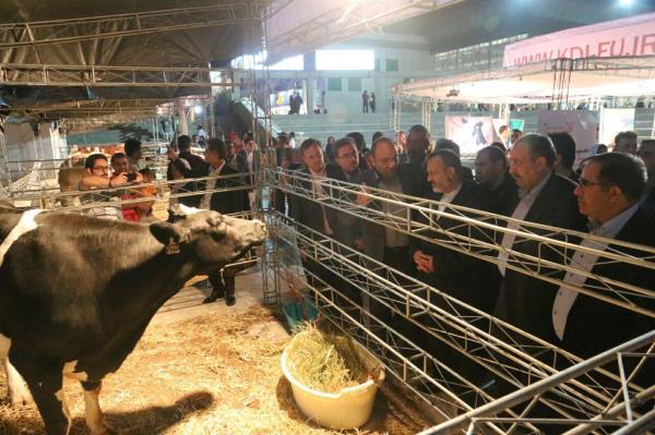 حضور ۴ شرکت اروپایی در نمایشگاه بین المللی دام و طیور مشهد
