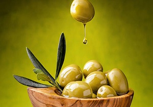 دالاهو شهر باغات زیتون