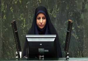 &nbsp;43 درصد خلاء برنامه پیشنهادی در مقوله&zwnj; عدالت فرهنگی است