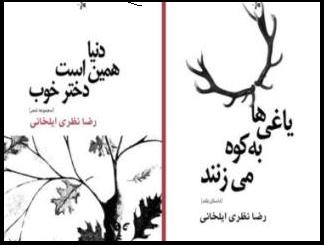 &laquo;یاغی&zwnj;ها به کوه می&zwnj;زنند&raquo; داستانی از یک شاعر!