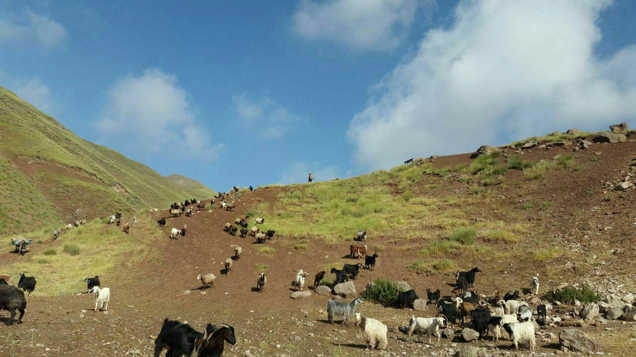 چالش مسکن در دولت دوازدهم چگونه مدیریت خواهد شد؟/ مسکن روستایی در اولویت قرار گیرد