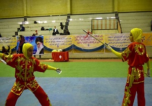 کسب مدال طلا وبرنز بدست ووشو کاران آبادانی