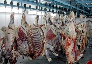 شهروندان از خریدگوشت های فاقد مهر بهداشتی جداخودداری کنند