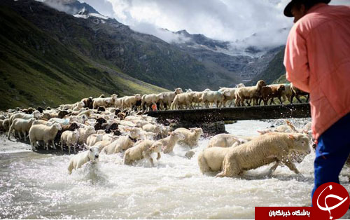 تصاویر روز: از تظاهرات ضد نژادپرستی در بوستون تا برخورد دو قطار در هند