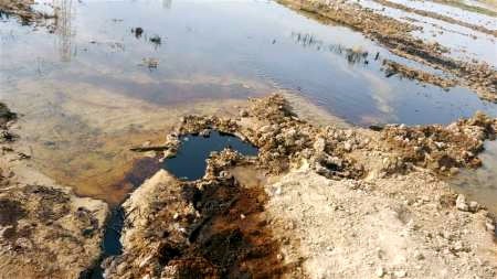 اراضی کشاورزی دارخوین در نفت غرق شدند
