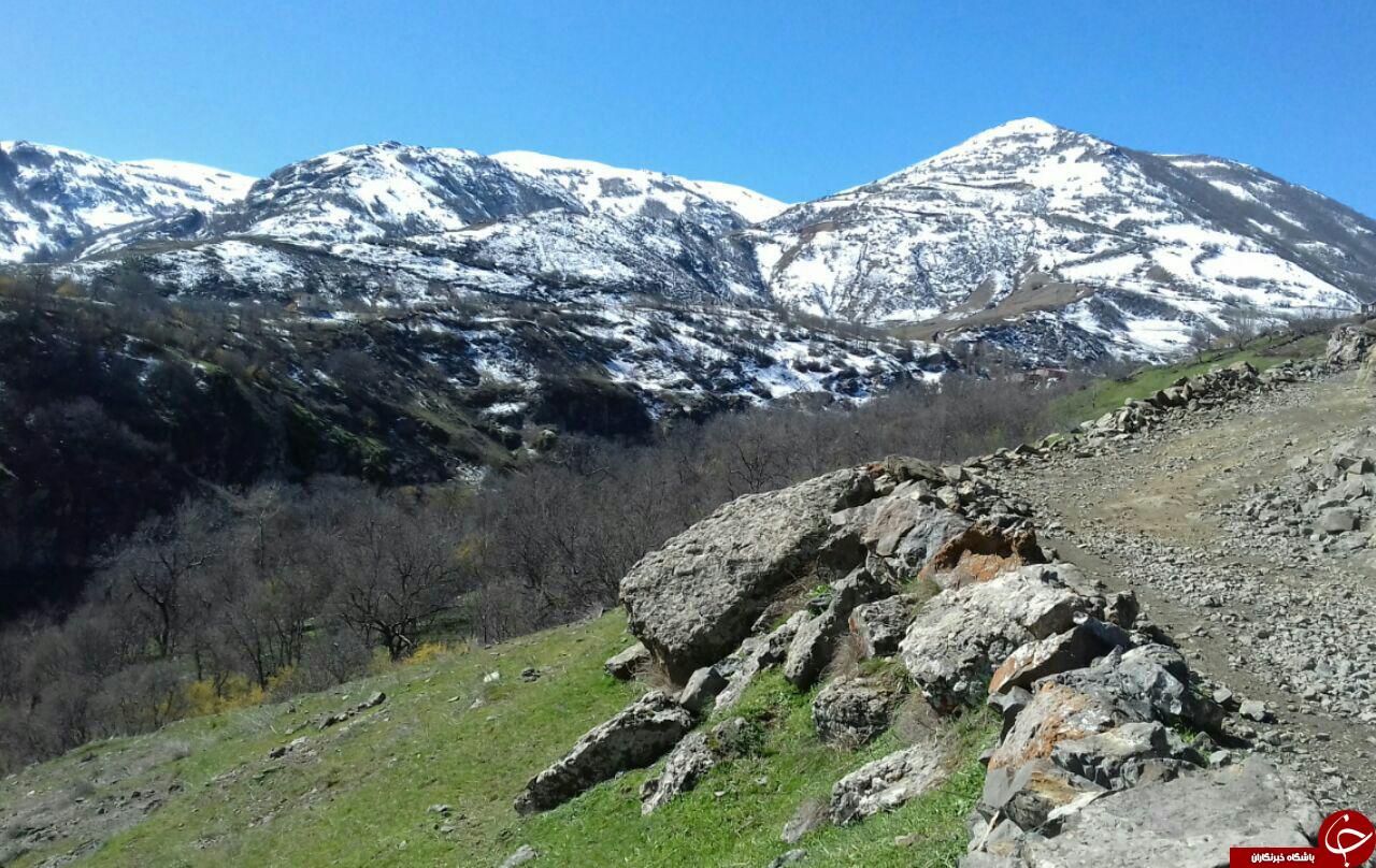 طبیعت دیدنی و گردشگری نیق + تصاویر
