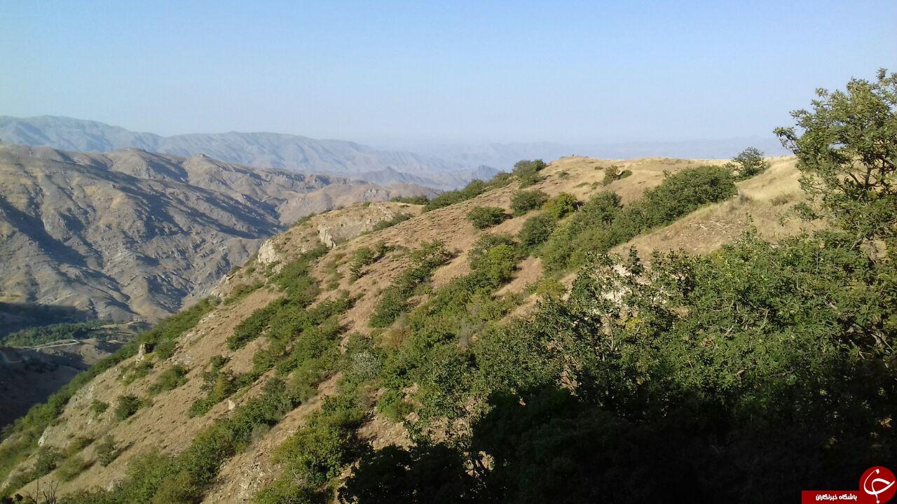 طبیعت دیدنی و گردشگری نیق + تصاویر