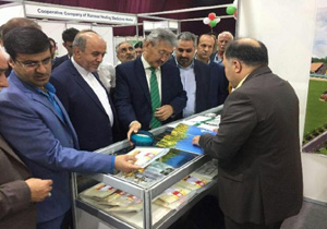معرفی جهانی برنج مازندران با حضور در نمایشگاه ولگاگراد روسیه