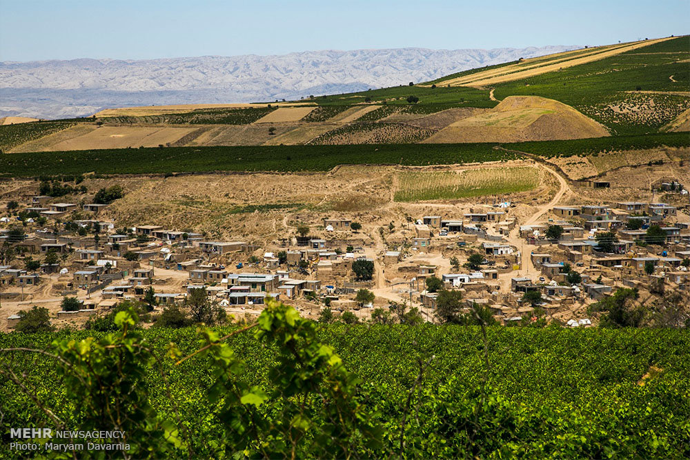 ۹۰ روز زندگی بدون سقف+تصاویر
