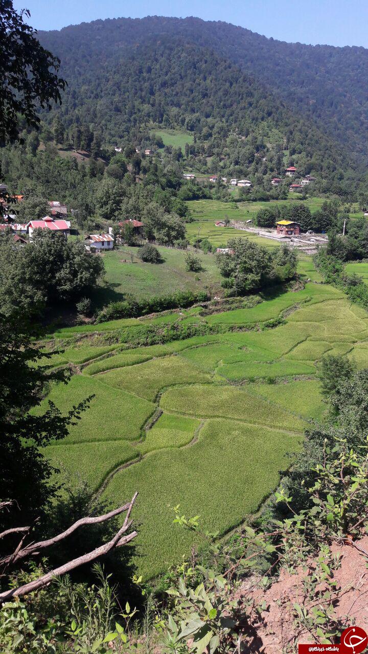 طبیعت بکر رستم آباد در قاب تصویر
