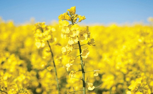 نگاهی به پر بیننده ترین اخبار روز گذشته در سمنان